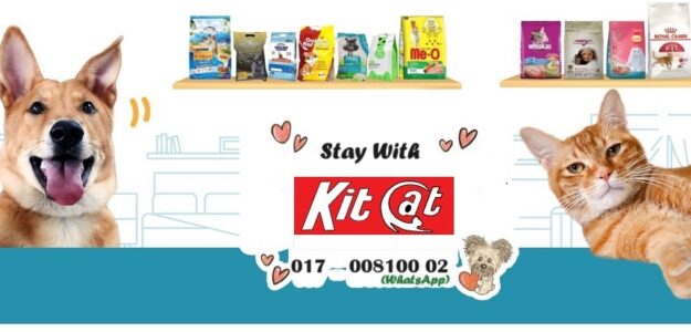 Kit Cat Store