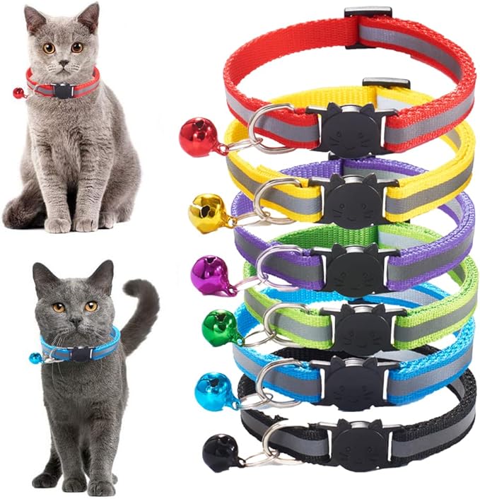 Leashes-_-Collars-6.jpg