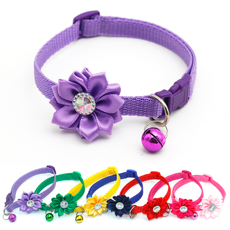 Purple-2.jpg