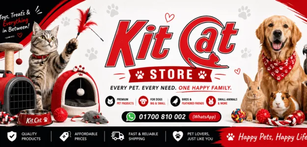 Kit Cat Store Kit Cat Store