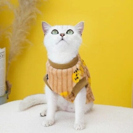 warm clothes for cats