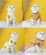 cat dog winter dress